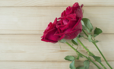 Red rose 54