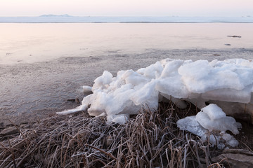 Frozen coast with reeds and chunks of ice
