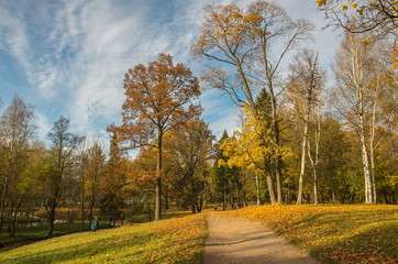 Naklejka premium Autumn landscape with golden trees and falling leaves