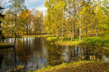 Fototapeta na wymiar Autumn landscape with trees near the water in surrounding area of Saint-Petersburg 