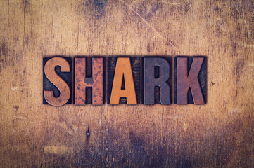Shark Concept Wooden Letterpress Type