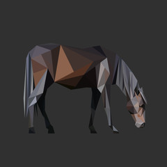 Horse body low poly design. Triangle vector illustration.