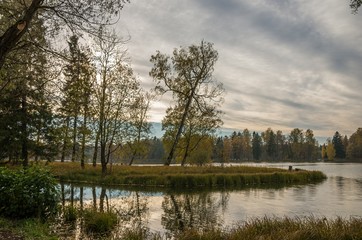 Autumn landscape with trees near the water in surrounding area of Saint-Petersburg