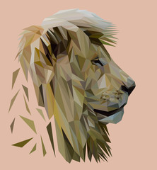 Naklejka premium Lion low poly design. Triangle vector illustration.