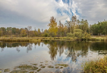 Fototapeta na wymiar The river Gatchinka