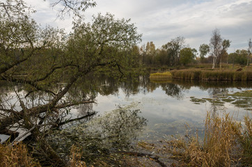 The river Gatchinka