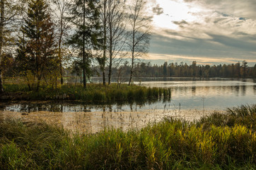 Fototapeta na wymiar Autumn landscape with trees near the water in surrounding area of Saint-Petersburg