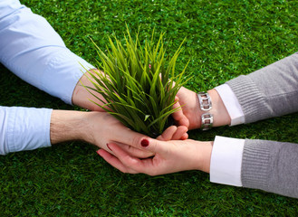 Hands holding a young plant