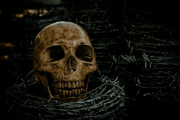 Skull and barb wire