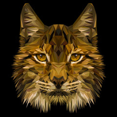 Naklejka premium Lynx cat animal low poly design. Triangle vector illustration.