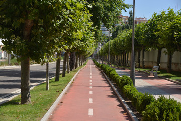 Obraz premium carril bici en las calles de Burgos