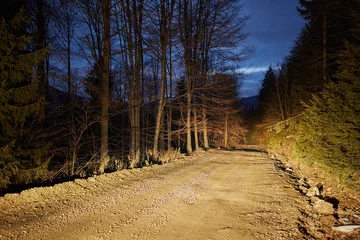 Zelfklevend Fotobehang Rural road at night © Xalanx