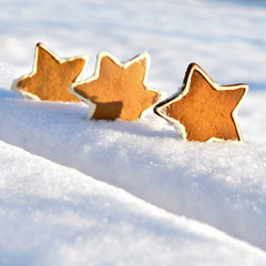 Star gingerbread in white snow with place for text