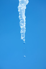 Icicle on background of sky with falling water droplets