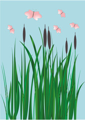 камыш, бабочки, светлячки © dvekoshki