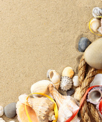 Sea shells with sand, rope as background