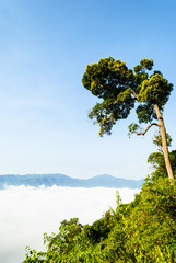 Morning mist at Khao Panoen Thung on Kaeng Krachan National Park