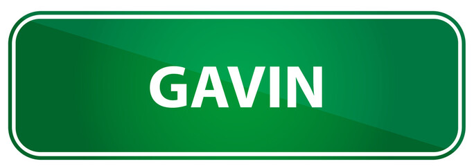 Popular boy name Gavin on a green US traffic sign