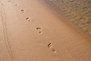 Fototapeta na wymiar Footprints in the sand on a sunny beach