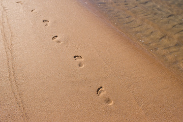 Footprints in the sand on a sunny beach
