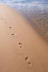 Fototapeta na wymiar Footprints in the sand on a sunny beach
