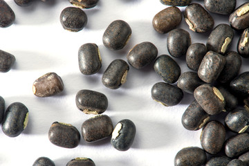 black gram