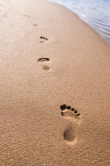 Footprints in the sand on a sunny beach