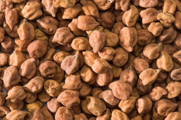 Chickpea