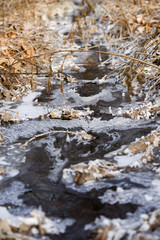 mountain's river amongst frozen grass