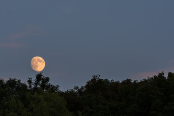 Aufgang Supermond im Sommer