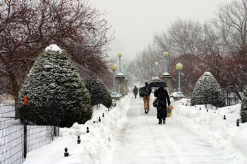 Boston Winter..