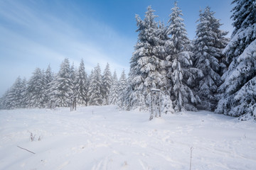 Thüringer Wald - Schneekopf