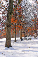 Fototapeta premium Boston Winter..