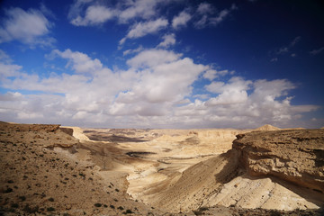 Desert Landscape