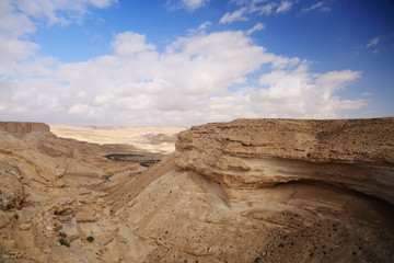 Desert Landscape