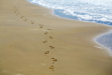 Feet prints on sea beach