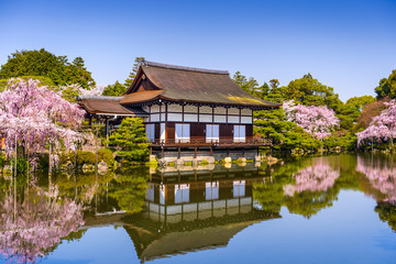 Naklejka premium Kyoto in Spring