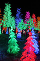 Rows of colorful LED trees decoration..