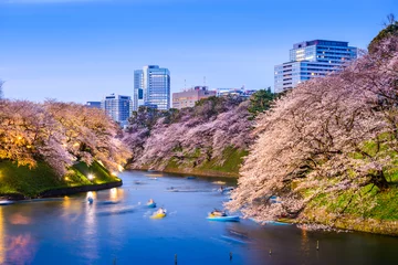Fotobehang Tokyo Imperial Moat in Spring © SeanPavonePhoto