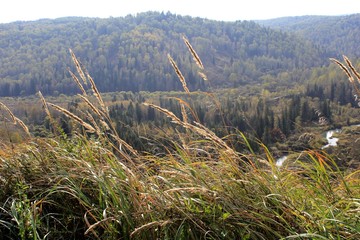 Остепнённый склон в районе реликтового Липового острова в Кузбассе