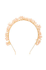 hoop for the head  on a white background