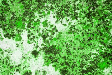 Old grunge wall texture