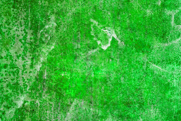 Fototapeta premium Old grunge wall texture