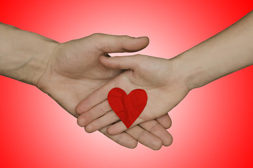 Fototapeta premium heart in hands