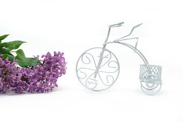lilac branch and toy bicycle on a white background