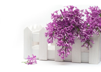 Beautiful spring lilac and a small fence on the white background