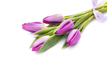 Fototapeta premium Tulips on the white background.