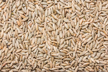 Oat seeds texture.