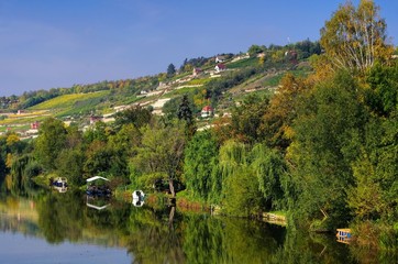 Saale Unstrut Weinberge - Saale Unstrut vineyards 09