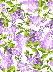 Seamless pattern with lilac flowers